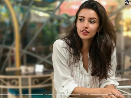 Tripti Dimri - 1024x768 Wallpaper - teahub.io