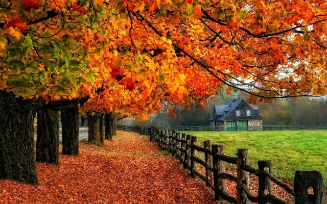 Fall Wallpaper Background 8 Autumn Wallpaper Examples - Autumn Desktop ...