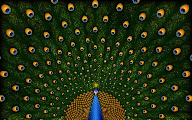 Peacock Images Hd Download - 1600x1067 Wallpaper 