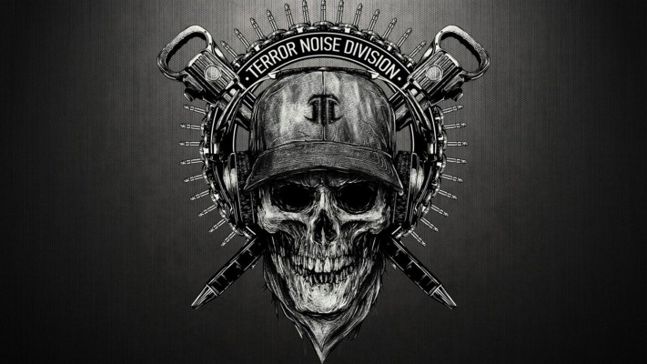 Evil Skull Wallpaper - Terror Noise Division - 2048x1152 Wallpaper -  