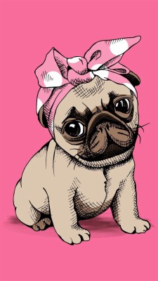 Dog, Wallpaper, And Pink Image - Love Pug - 720x1280 Wallpaper 