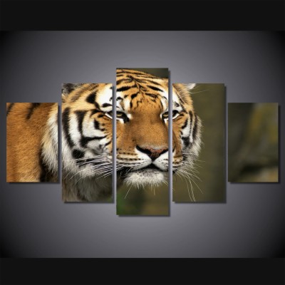 Siberian Tiger - 960x960 Wallpaper - Teahub.io