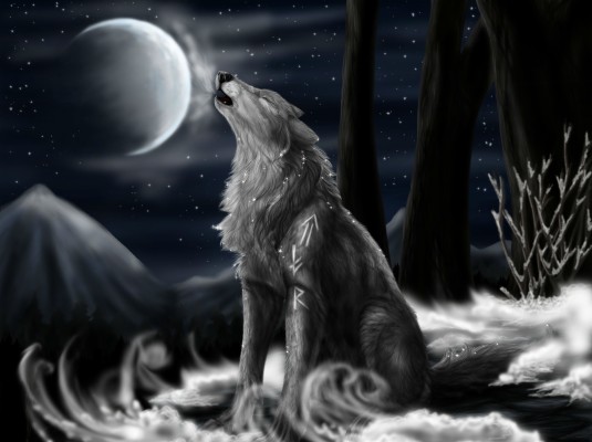 Drawing Ideas Wallpapers Amazing Collection Of Wolf Drawing Ideas Wallpapers Amazing Collection Of Wolf