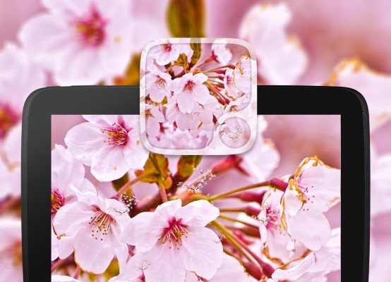 Download Android Apk Sakura Love Live Wallpapers - Hoa Anh Đào Nở Rộ  - HD Wallpaper