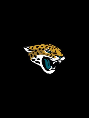 Jacksonville Jaguars 25th Anniversary Logo - 1536x2048 Wallpaper ...