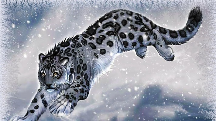 Amazing Animal Snow Leopard High Resolution Wallpaper - Snow Leopard