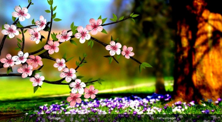 Heres One More Beautiful Live Wallpaper With A Spring - Flower Wallpaper Hd  - 1190x654 Wallpaper 