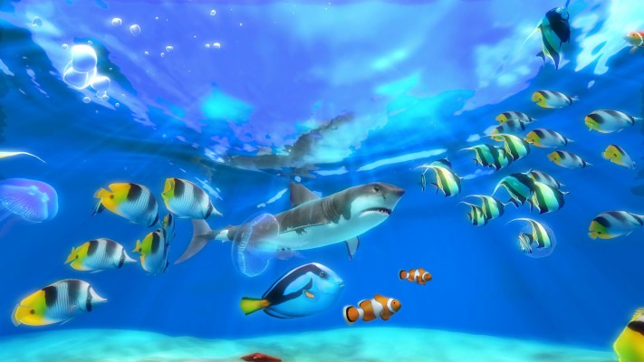 Aquarium Screensaver Free Download For Windows - Live Screensaver Windows  10 - 1920x1080 Wallpaper 