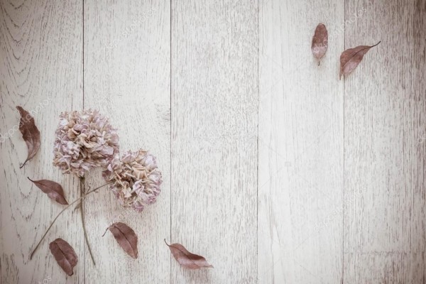 Fondo Vintage Madera Y Flores - 1023x682 Wallpaper - teahub.io