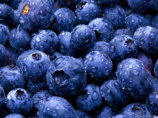 Amazing 3d Fruit High Defination Wallpapers And Backgrounds - Blueberry ...