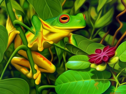 Frog Green Leaves - 1008x756 Wallpaper - teahub.io