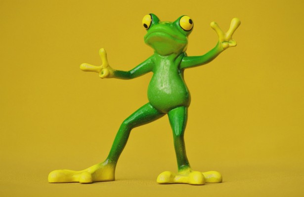 2948x1916 funny frog wallpaper wallpaper wallpaper funny frog 2948x1916 wallpaper teahub io teahub io