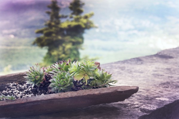 Download Wallpapers and Backgrounds , Page 6714 - teahub.io