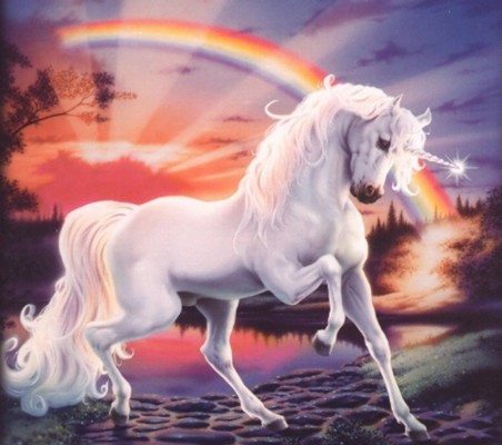 Real Life Magical Unicorn 1024x906 Wallpaper Teahub Io