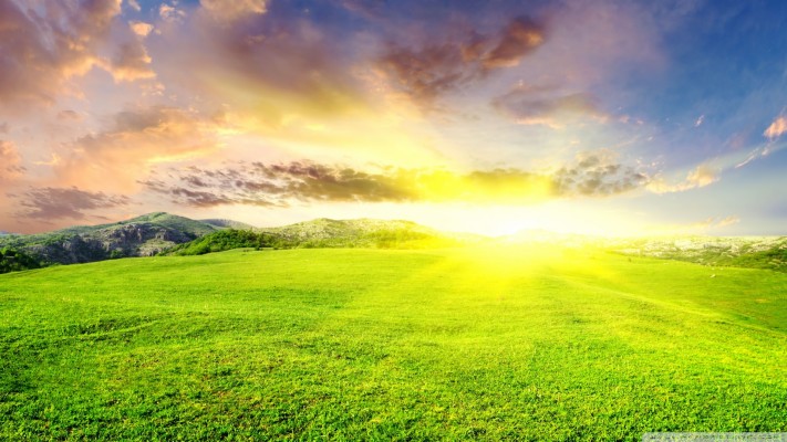 Grassland Sunshine - 1920x1080 Wallpaper - teahub.io