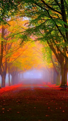 Hd Path In The Autumn Park Wallpaper - Beautiful Park Wallpaper Hd ...