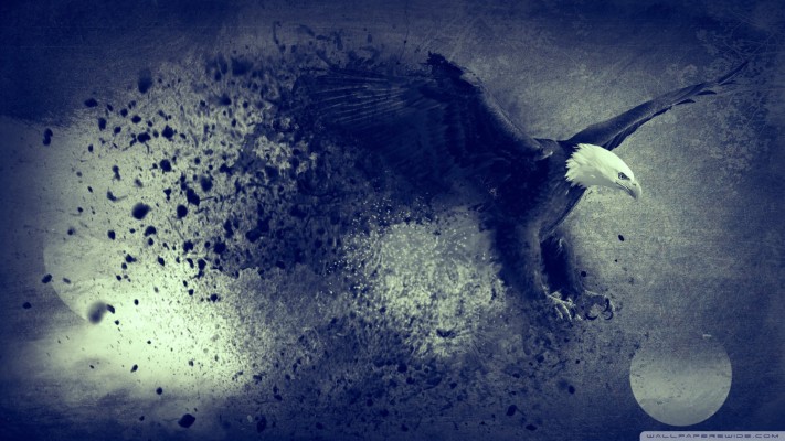 Eagle For Freedom - Black Eagle Background - 1920x1080 Wallpaper