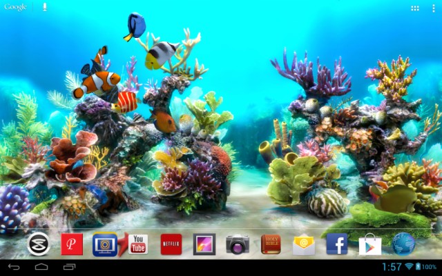 Laptop Live Wallpaper Fish - 1024x640 Wallpaper 