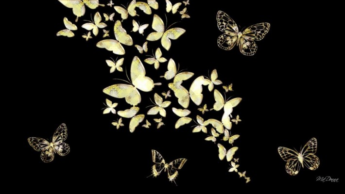 Glitter Butterfly Wallpaper Hd - 736x1309 Wallpaper 