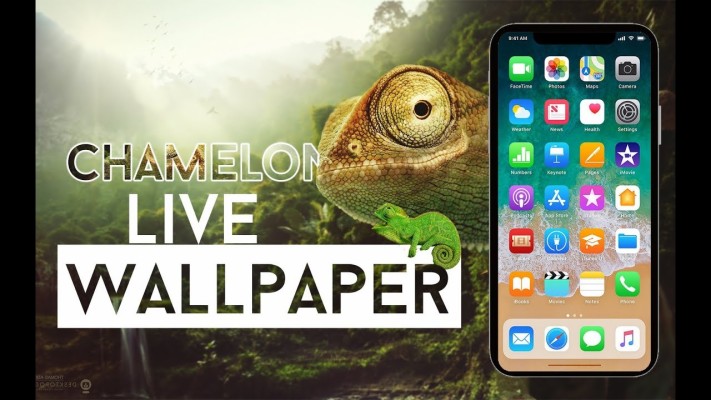 Live Backgrounds Iphone 8 - 1242x2208 Wallpaper - teahub.io