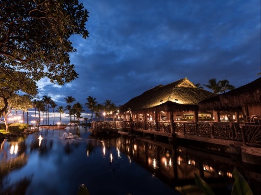 Stunning Hawaii Wallpaper - Palm Tree High Resolution - 1920x1200 ...