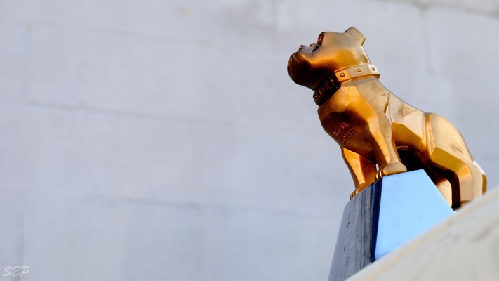 Mack Trucks Bulldog - 2560x1440 Wallpaper - teahub.io