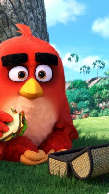 Angry Birds Wallpaper Hd For Pc - 1920x1080 Wallpaper - teahub.io