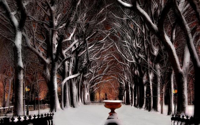 New York, Winter, 4k, 5k, Snow, Street - Winter Wallpaper New York -  640x1138 Wallpaper 