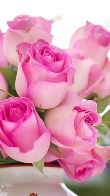 Flower Vase, Pink Roses, Fresh, Wallpaper - Rose Good Morning Msg ...