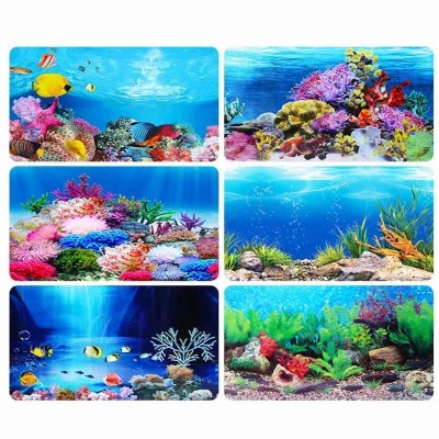 Aquarium Images 3d - Fish Tank Background - 800x800 Wallpaper - teahub.io