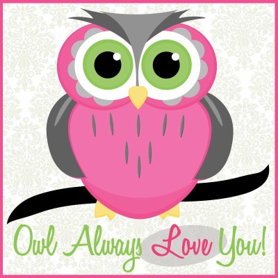 Cartoon Owl Wallpaper-14nz611 - Kartun Owl Pink - 1600x1600 Wallpaper ...