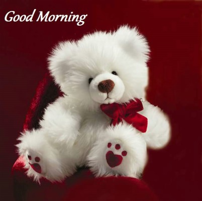 Cute Good Morning Teddy Bear Images - White Teddy Bear With Roses ...