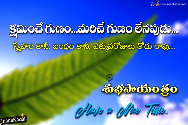 Telguu Quotes, Relationship Quotes In Telugu, Value - Vascular Plant ...