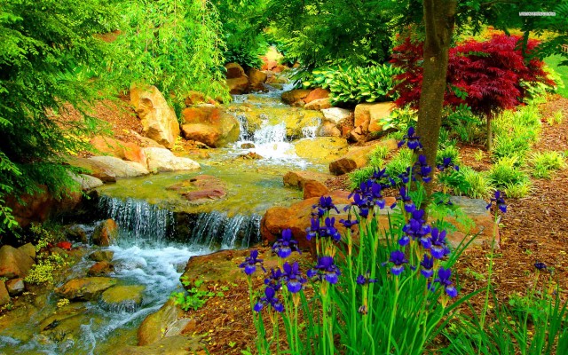 Download 12 Beautiful Garden Hd Wallpapers For Desktop - Birsa Munda ...