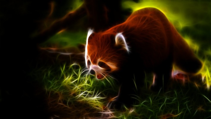20+ Red Panda Wallpaper Art