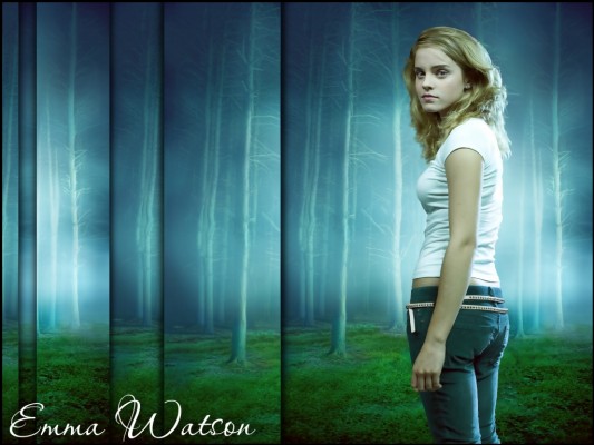 Emma Watson Wallpaper - Обои Эмма Уотсон - 1024x768 Wallpaper - teahub.io