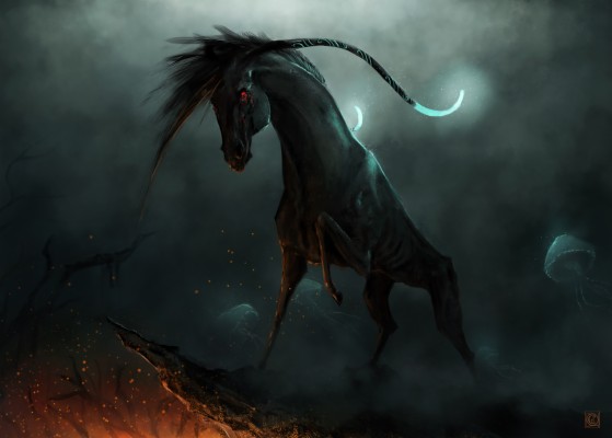 Black Horse With Fire - 1920x1080 Wallpaper - teahub.io