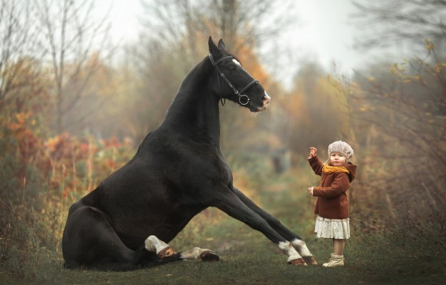 Girl For Horse Wallpaper Hd - 1920x1080 Wallpaper - teahub.io