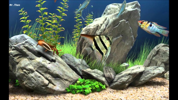 Desktop Aquarium 3d Live Wallpaper Image Num 76