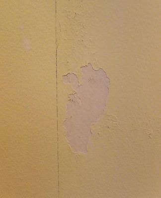 Great Advice For Preventing Drywall Damage When Removing Painting Over Wallpaper Glue 900x1109 Teahub Io - Paint To Cover Wallpaper Glue