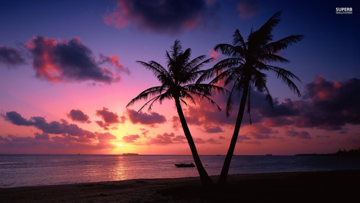 Beach Sunset Jog 4k - Windows 10 Running Background - 2880x1800