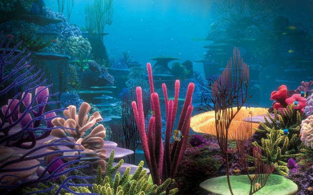 Free Ocean Wallpaper - Ocean Beautiful Coral Reefs - 1600x1000 ...