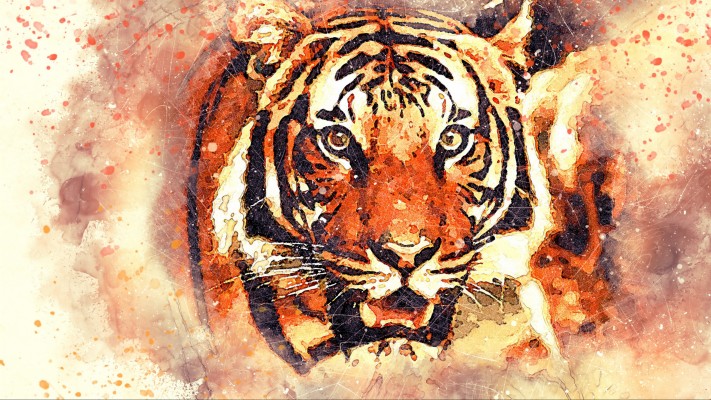 Tiger Wallpapers And Backgrounds - White Tiger Design Art - 1600x1196 ...