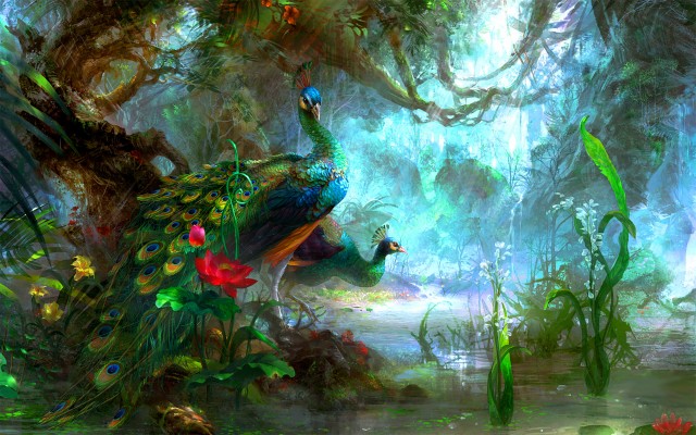 Peacock Hd Wallpaper - Nature Background With Peacock - 1920x1200 Wallpaper  