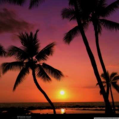 Iphone Wallpaper Tropical-23 - Tropical Sunset Wallpaper For Phone ...