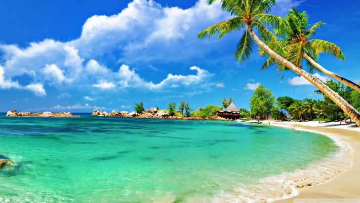 Tropical Hd Wallpapers 1080p - 1920 X 1080 Wallpapers Tropical ...