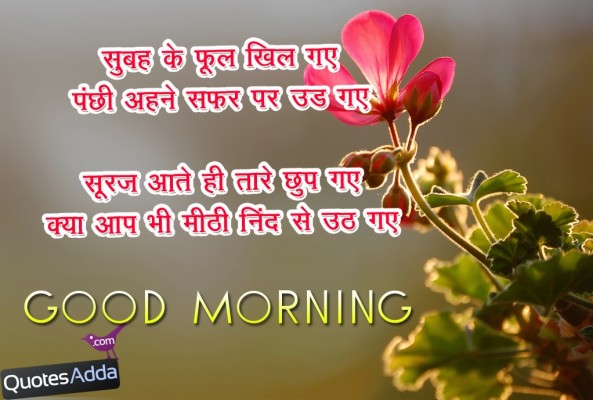 Morning - Funny Good Morning Quotes In Hindi - 700x1052 Wallpaper ...