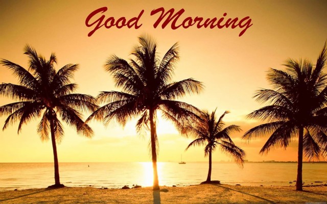 Good Morning Palm Beach Hd Wallpaper - Good Morning At The Beach ...