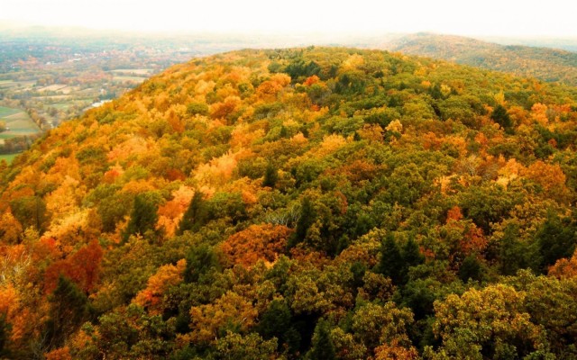 Amazing Indian Summer - Indian Summer - 1920x1080 Wallpaper - teahub.io