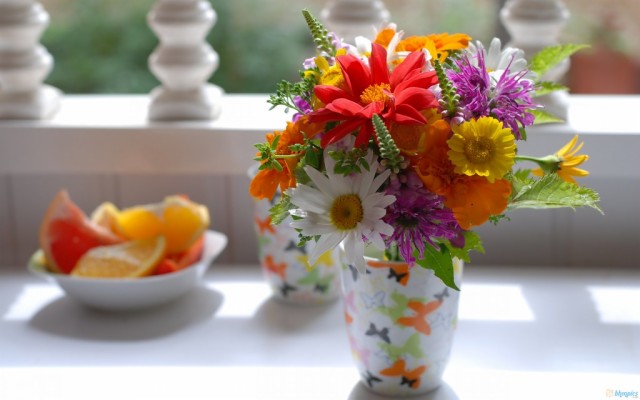 Many Very Beautiful Flowers 1024x1024 Wallpaper Teahub Io Many Very Beautiful Flowers 1024x1024 Wallpaper Teahub Io